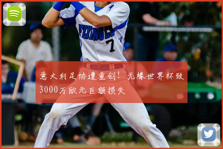 意大利足协遭重创！无缘世界杯致3000万欧元巨额损失