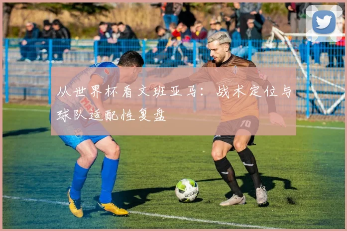 从世界杯看文班亚马：战术定位与球队适配性复盘